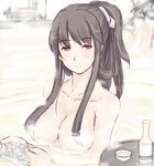  akagi_(kantai_collection) bathing black_eyes black_hair breasts collarbone convenient_censoring hair_censor hair_up highres kantai_collection large_breasts light_smile long_hair looking_at_viewer nude sitting sketch solo steam steam_censor ten_ryuu_sadaaki tied_hair upper_body water 