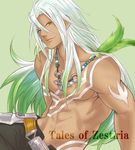  belt brown_eyes copyright_name getfulness-0720 gradient_hair green_background green_hair jewelry long_hair male_focus multicolored_hair necklace shirtless smile solo tales_of_(series) tales_of_zestiria tan tattoo white_hair zaveid_(tales) 
