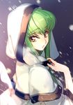  blurry c.c. code_geass creayus depth_of_field eyebrows_visible_through_hair green_hair hood long_hair snow solo yellow_eyes 