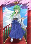  absurdres anna_sakura bell blue_eyes blush breasts bridge cherry_blossoms cleavage cloud collarbone day frog frog_hair_ornament green_hair hair_ornament hakama highres japanese_clothes jingle_bell kochiya_sanae long_hair miko nature open_mouth outdoors sandals sky smile snake snake_hair_ornament solo tabi touhou zouri 