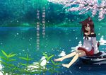  absurdres animal_ears anna_sakura bare_shoulders barefoot breasts brooch brown_hair collarbone dress fang finger_to_mouth forest highres imaizumi_kagerou jewelry long_hair looking_at_viewer medium_breasts nature open_mouth red_eyes sitting sitting_on_rock solo tail touhou translated water wolf_ears wolf_tail 