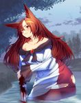  animal_ears bad_id bad_pixiv_id blood blush brooch brown_hair clenched_teeth dress fog forest highres holding_arm imaizumi_kagerou injury jewelry long_hair long_sleeves nature night outdoors po._(medamaoyazi) red_eyes see-through solo teeth torn_clothes torn_dress touhou tree upper_body wading water wet wet_clothes wet_dress wolf_ears 