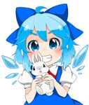  ahoge berry_jou blue_dress blue_eyes blue_hair bow bunny cirno dress grin hair_bow highres ice ice_wings looking_at_viewer puffy_short_sleeves puffy_sleeves shirt short_sleeves smile solo touhou upper_body wings 