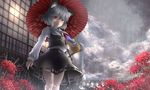  animal_ears basket building capelet cloud flower gem grey_hair jewelry long_sleeves mouse mouse_ears mouse_tail nazrin necklace open_mouth oriental_umbrella pendant pengin_(takeoff425) rain see-through shirt silver_hair skirt skirt_set smile solo spider_lily tail touhou umbrella vest 