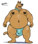 2023 anthro balls_outline belly big_belly brown_body brown_fur bulge canid canine canis claws clothed clothing collar collar_tag domestic_dog fangs fur genital_outline great_dane hanna-barbera hi_res kaiipwilde_(artist) male mammal mastiff molosser navel nipples obese obese_anthro obese_male open_mouth overweight overweight_anthro overweight_male penis_outline scooby-doo scooby-doo_(series) signature solo speedo speedo_only standing swimwear teeth tongue topless