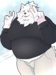anthro belly blush canid canine canis clothing domestic_dog fur gesture hi_res lifewonders live_a_hero male mammal nattotiger nordic_sled_dog overweight samoyed smile solo spitz sweater topwear v_sign white_body white_fur yohack