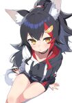  1girl absurdres animal_ear_fluff animal_ears black_choker black_hair black_hoodie black_shorts choker hair_ornament hairpin highres hiroikara_(smhong04) hololive hood hoodie long_hair looking_at_viewer multicolored_hair official_alternate_costume ookami_mio ookami_mio_(3rd_costume) ponytail red_hair shorts streaked_hair tail two-tone_hoodie virtual_youtuber white_background white_hoodie wolf_ears wolf_girl wolf_tail yellow_eyes 