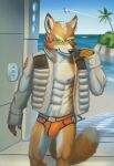 5_fingers anthro arwing athletic athletic_male beach belly black_nose black_seam_underwear blue_sky briefs bulge canid canine chest_tuft claws clothed clothing colored_seam_underwear crotch_tuft day digital_media_(artwork) electronics eyebrows fingers fluffy fox fox_mccloud front_view fur green_eyes hand_on_shoulder headgear headphones headset headset_microphone hi_res island jacket logo_on_clothing looking_at_viewer male mammal nintendo nipples open_clothing open_jacket open_topwear orange_briefs orange_clothing orange_underwear palm_tree plant rrougarou1 sea seaside shirtless signature sky smile solo spacecraft star_fox suggestive tail tan_belly tan_eyebrows tan_tail_tip topwear tree tuft underwear unzipped_jacket vehicle visor walking water white_clothing white_jacket white_topwear yellow_body yellow_fur