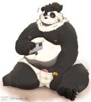 2023 96panda anthro bear belly big_belly black_body black_fur black_nose blush bulge cellphone clothing electronics fur genitals giant_panda hi_res kemono male mammal moobs navel nipples overweight overweight_male penis phone simple_background sitting smartphone solo underwear white_body white_fur