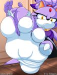 4_toes anthro blaze_the_cat claws cornchip21 countershade_feet countershading feet female foot_fetish foot_focus hi_res looking_at_viewer sega soles solo sonic_the_hedgehog_(series) thesigmaarts toe_claws toes