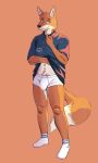 anthro big_bulge black_nose black_polo_shirt blue_eyes boxer_briefs bulge canid canine clothed clothing clothing_lift drdalefox footwear fox fur hand_on_collar hand_under_shirt hi_res male mammal navel orange_background orange_body orange_fur pantsless shirt shirt_lift shirt_logo shirt_pocket simple_background smile socks solo topwear underwear white_boxer_briefs white_clothing white_underwear