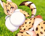 absurd_res animal_humanoid big_breasts black_hair blonde_hair blush breasts camel_toe clothing felid felid_humanoid feline feline_humanoid female hair hi_res huge_breasts huge_thighs humanoid kemono_friends looking_at_viewer mammal mammal_humanoid markings multicolored_hair open_mouth orange_eyes panties serval-chan serval_humanoid smile solo tail tailzkim thick_thighs underwear