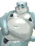 2024 anthro balls bear belly big_belly blush clothing genitals kemono male mammal menmen_kesinn moobs navel overweight overweight_male simple_background solo underwear white_background