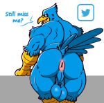 absurd_res anthro anus avian backsack balls beak big_balls big_butt bird blue_body blue_feathers butt feathers genitals hi_res male meme muscular muscular_anthro muscular_male perineum posstype presenting presenting_hindquarters saggy_balls scuted_arms scutes smile solo tail tail_feathers tweetfur twitter