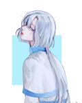  1boy akatsuki_no_yona back bad_id bad_twitter_id blue_eyes capelet commentary_request kija_(akatsuki_no_yona) korean_commentary looking_at_viewer looking_back male_focus mullet rectangle simple_background solo upper_body white_background white_capelet yona_hyeon 