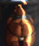 absurd_res anthro anus back_bulge balls bear big_butt blem-bop bulge butt clothed clothing genitals hi_res jockstrap looking_at_viewer looking_back male mammal office overweight overweight_anthro overweight_male puffy_anus seductive slightly_chubby solo tail under_table underwear ursine