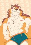 abs absurd_res anthro barrel_(live_a_hero) briefs brown_body brown_fur bulge canid canine canis clothing fur heylaw21 hi_res lifewonders live_a_hero male mammal muscular muscular_anthro nipples pecs smug solo underwear wolf