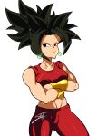  1girl absurdres armlet black_eyes black_hair crop_top crossed_arms dragon_ball dragon_ball_super earrings highres jewelry kefla_(dragon_ball) pants potara_earrings simple_background solo sottart spiked_hair white_background 