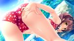  ass ass_grab bent_over bikini blush brown_hair bush cloud day from_behind game_cg grabbing_own_ass hair_ribbon hand_on_ass looking_back natsu_no_iro_no_nostalgia orikuchi_miu print_bikini red_bikini ribbon rock short_hair sky solo star star_print swimsuit twintails yamakaze_ran yellow_eyes 