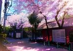  bad_id bad_pixiv_id building cherry_blossoms dappled_sunlight day east_asian_architecture mogumo no_humans original outdoors petals real_world_location scenery stairs sunlight telephone_pole tokyo_(city) traffic_cone tree 