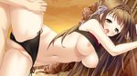  1girl against_wall bent_over bikini black_eyes blush braid breasts brown_hair censored evening game_cg hanging_breasts haru_kiss highres leg_up legs long_hair marui_(koedame) mikoto_akemi navel nipples open_mouth penis pussy sex sky swimsuit thighs vaginal yasumi_itsuki 