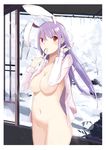  animal_ears bad_id bad_pixiv_id bottomless breasts bunny_ears convenient_censoring extra_ears large_breasts long_hair mouth_hold naked_shirt navel open_clothes open_shirt purple_hair red_eyes reisen_udongein_inaba shirt snow solo tetsurou_(fe+) touhou 