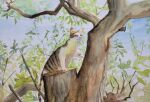  animal animal_focus blue_sky branch cat climbing day highres no_humans original painting_(medium) sabi_bobtail sky traditional_media tree watercolor_(medium) 