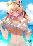  1girl absurdres ahoge animal_ear_fluff animal_ears beach blonde_hair blush breasts byte-artist cat_ears cat_girl clothes_lift day facial_mark hair_ornament highres indie_virtual_youtuber lifted_by_self long_hair looking_at_viewer medium_breasts out-of-frame_censoring outdoors red_eyes shirt shirt_lift shyrei_faolan solo virtual_youtuber water wet wet_clothes whisker_markings white_shirt 