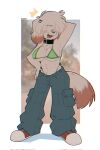  anthro bikini bikini_top bottomwear breasts canid canine clothed clothing crazysnuft female hair hair_over_eye hi_res mammal one_eye_obstructed pants solo solo_focus swimwear topless 