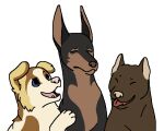 2015 aliasing alternate_species ambiguous_gender bird_dog blue_(sebdoggo) blue_eyes brown_body brown_fur brown_inner_ear brown_nose button_ears canid canine canis chow_chow cropped_ears digital_drawing_(artwork) digital_media_(artwork) dobermann domestic_dog eyes_closed feral flat_colors floppy_ears frown fur golden_retriever grey_body grey_fur group hunting_dog jasper_(serenity) male_(lore) mammal mixed_breed open_mouth open_smile paws pink_nose pink_tongue pinscher pit_bull red_tongue retriever saul_(serenity) sebdoggo serenity_(comic) simple_background smile snout spitz tan_inner_ear tan_nose tongue tongue_out trans_(lore) trans_man_(lore) trio white_background white_body white_fur yellow_body yellow_fur