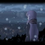  back_turned blurry cato_(monocatienus) depth_of_field from_behind hata_no_kokoro letterboxed long_hair night no_mask pink_hair scarf snow solo touhou winter_clothes 