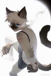 2024 absurd_res anthro blue_eyes bottomwear cigarette claws clothing domestic_cat feet felid feline felis fur grey_body grey_fur guaishoudm1 hi_res looking_at_viewer male mammal pawpads scar shorts smoking smoking_cigarette solo tail toes topwear weibo white_body white_fur