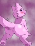  absurd_res anthro anus blush canid canine canis doggystyle female feral from_behind_position fur genitals hair hi_res mammal marianart_1 pink_body pink_hair pussy sex shaded solo tail tongue tongue_out wolf 