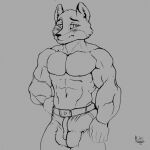 1:1 anthro balls balls_bulge big_balls big_bulge big_muscles big_penis bulge canid canine clothing erection erection_under_bottomwear erection_under_clothing flushed fox genitals kastanja male mammal monochrome muscular muscular_anthro muscular_male penis sketch solo