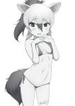  1girl aardwolf_(kemono_friends) absurdres animal_ears bikini breasts commentary_request extra_ears greyscale hair_between_eyes hands_up high_ponytail highres kemono_friends long_hair looking_at_viewer masuyama_ryou micro_bikini monochrome multicolored_hair navel nervous_smile own_hands_together side-tie_bikini_bottom small_breasts smile solo stomach swimsuit tail 