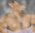  abs anthro armpit_hair bath bathhouse blush body_hair brown_body canid canine canis chest_tuft digital_media_(artwork) embarrassed fur hair hot_spring kobold_(suikoden) konami male mammal muscular muscular_anthro muscular_male nipples pecs ridley_wizen simple_background sketch solo spikysketches suikoden suikoden_2 tuft water 