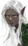  1girl cithis cloak dark-skinned_female dark_elf dark_skin dungeon_meshi elf facial_mark forehead_mark green_cloak grey_hair hair_tubes highres jewelry long_hair looking_at_viewer pointy_ears rain_(neporain) solo white_background yellow_eyes 