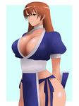  absurdres arms_behind_back breasts brown_eyes brown_hair choker cleavage dead_or_alive highres hips japanese_clothes kagemusha kasumi_(doa) large_breasts long_hair pelvic_curtain solo thighs 