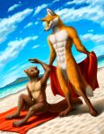  2021 anthro athletic athletic_anthro athletic_male beach brown_body brown_fur canid canine claws detailed_background digital_media_(artwork) duo eye_contact featureless_crotch fluffy fluffy_tail fox fur gulonine kippycube looking_at_another male male/male mammal marten mustelid musteline nude orange_body orange_fur pine_marten plantigrade sitting smile standing tail towl water whiskers 