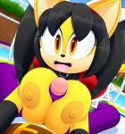  absurd_res anthro areola belt big_breasts breast_play breasts collar domestic_cat duo felid feline felis female first_person_view hi_res honey_the_cat huge_breasts male male/female mammal nipples open_mouth open_smile poolside sega sex slickehedge smile sonic_the_fighters sonic_the_hedgehog_(series) titfuck 