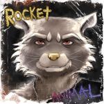  1:1 album_cover album_redraw anthro border brown_and_white_fur brown_eyes clothed clothing cover fur gold_nose gold_text guardians_of_the_galaxy gwen_the_psychic jewelry looking_at_viewer male mammal marvel multicolored_body multicolored_fur necklace procyonid raccoon rocket_raccoon rogertaylorswift scratches shirt slightly_open_mouth solo teeth teeth_showing text topwear two_tone_body two_tone_fur two_tone_text whiskers white_border 