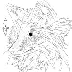  1:1 black_and_white canid canine feral fox foxstep_(artist) grey_fox hi_res line_art male mammal monochrome sketch urocyon 