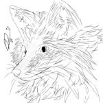 1:1 black_and_white canid canine feral fox foxstep_(artist) grey_fox hi_res line_art male mammal monochrome sketch urocyon