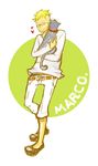  1boy alternate_costume blonde_hair cat glasses marco one_piece solo 