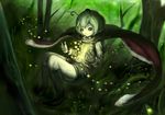  amagaya_(rat-tat-tat) antennae bad_id bad_pixiv_id cape duplicate fireflies forest green_eyes green_hair nature solo touhou tree wriggle_nightbug 