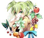  bad_id bad_pixiv_id bow bug butterfly fei_rune food fruit green_eyes green_hair inazuma_eleven_(series) inazuma_eleven_go inazuma_eleven_go_chrono_stone insect junekun male_focus solo stuffed_animal stuffed_bunny stuffed_toy white_background 