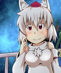  animal_ears bad_id bad_pixiv_id bamboo bare_shoulders blush breasts chikinman detached_sleeves hat inubashiri_momiji light_smile looking_at_viewer medium_breasts night pom_poms red_eyes ribbon-trimmed_sleeves ribbon_trim short_hair silver_hair sky solo star_(sky) starry_sky tokin_hat touhou wolf_ears 