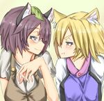  :t animal_ears blonde_hair brown_eyes brown_hair eye_contact fox_ears futatsuiwa_mamizou glasses highres leaf leaf_on_head looking_at_another masuo multiple_girls raccoon_ears smile touhou yakumo_ran yellow_eyes 