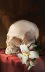  death flower highres lily_(flower) no_humans original skull still_life table tablecloth zluu 