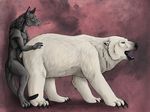  anthro anthro_on_feral bear bestiality duo female feral fur interspecies krimzen_redwing male mammal open_mouth plain_background polar_bear size_difference sovy straight tongue vaginal white_fur 